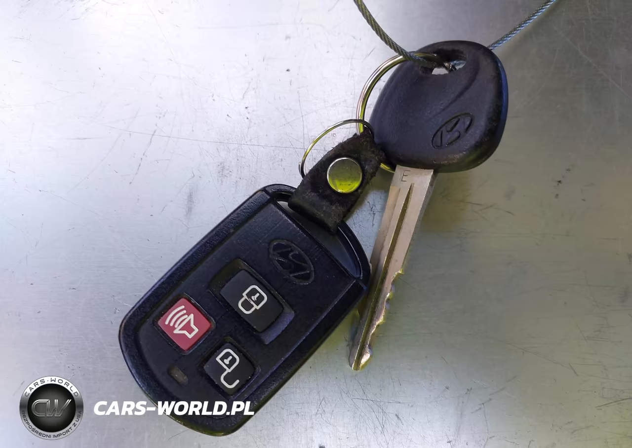 2005 Hyundai Santa Fe Gls-Lx VIN:KM8SC13E25U978475 - 11