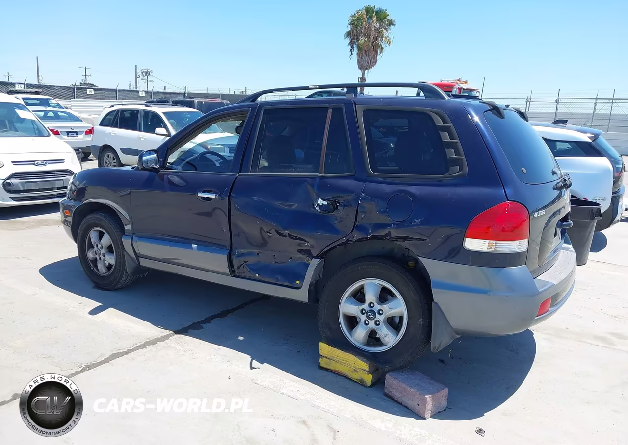 2005 Hyundai Santa Fe Gls-Lx VIN:KM8SC13E25U978475 - 3