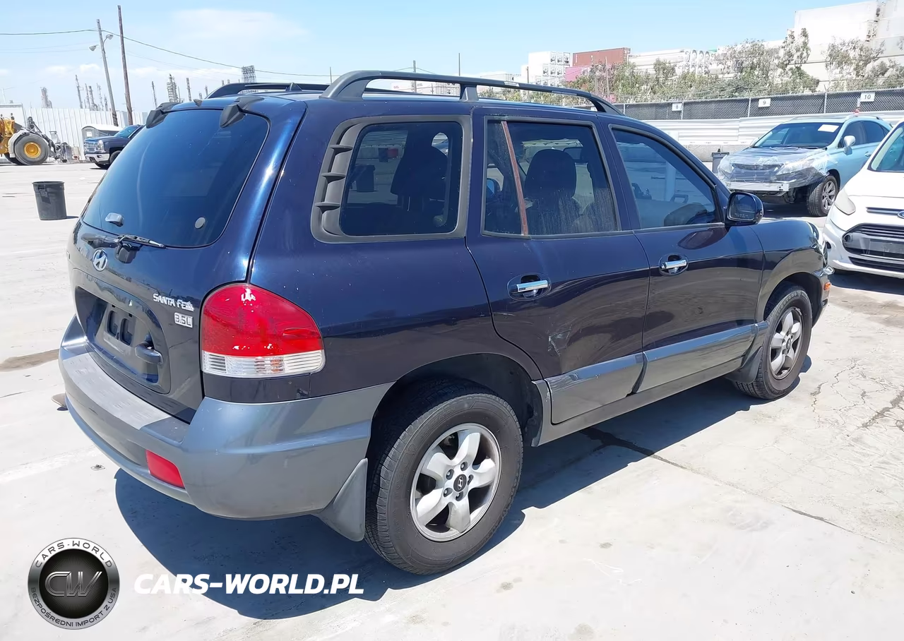 2005 Hyundai Santa Fe Gls-Lx VIN:KM8SC13E25U978475 - 4