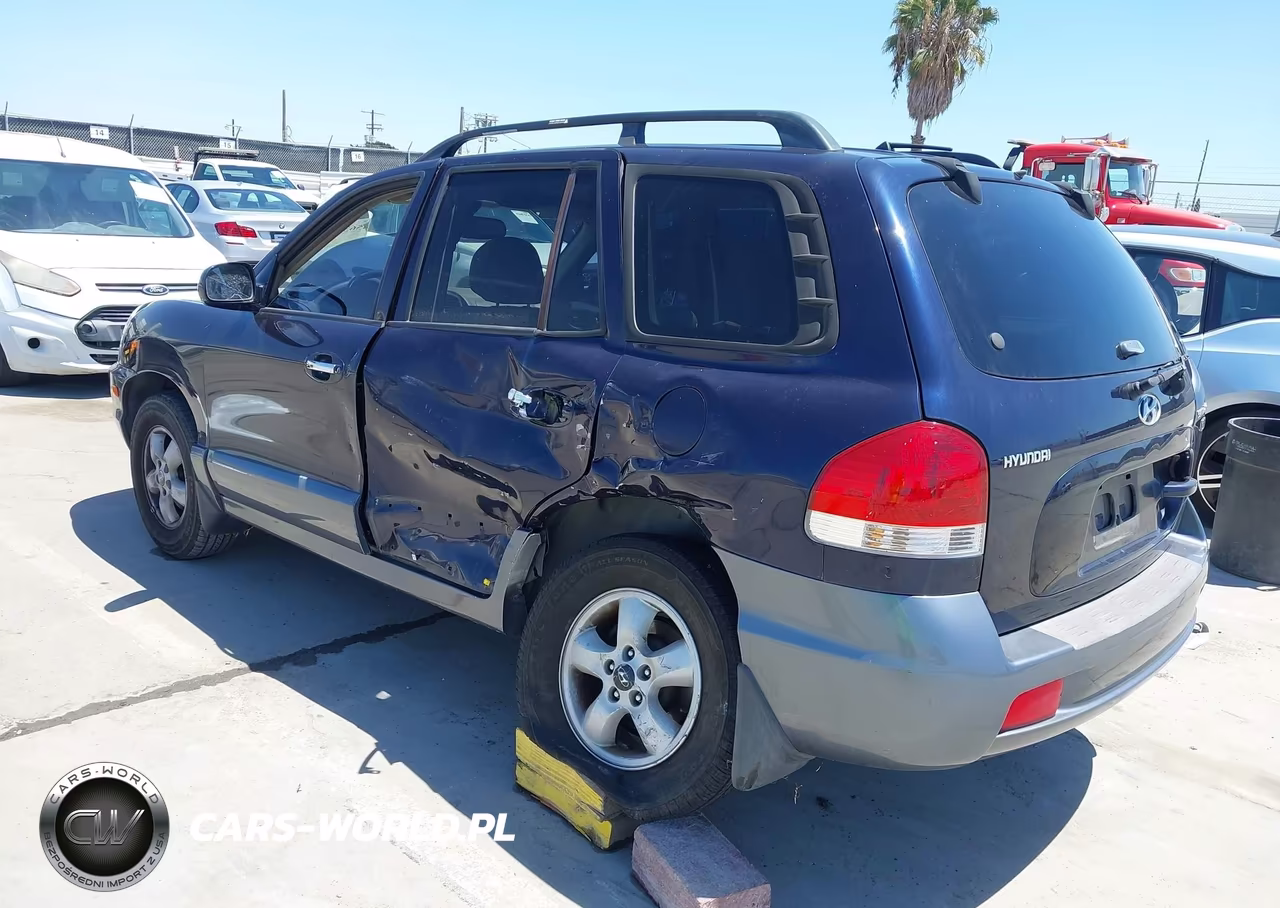 2005 Hyundai Santa Fe Gls-Lx VIN:KM8SC13E25U978475 - 6