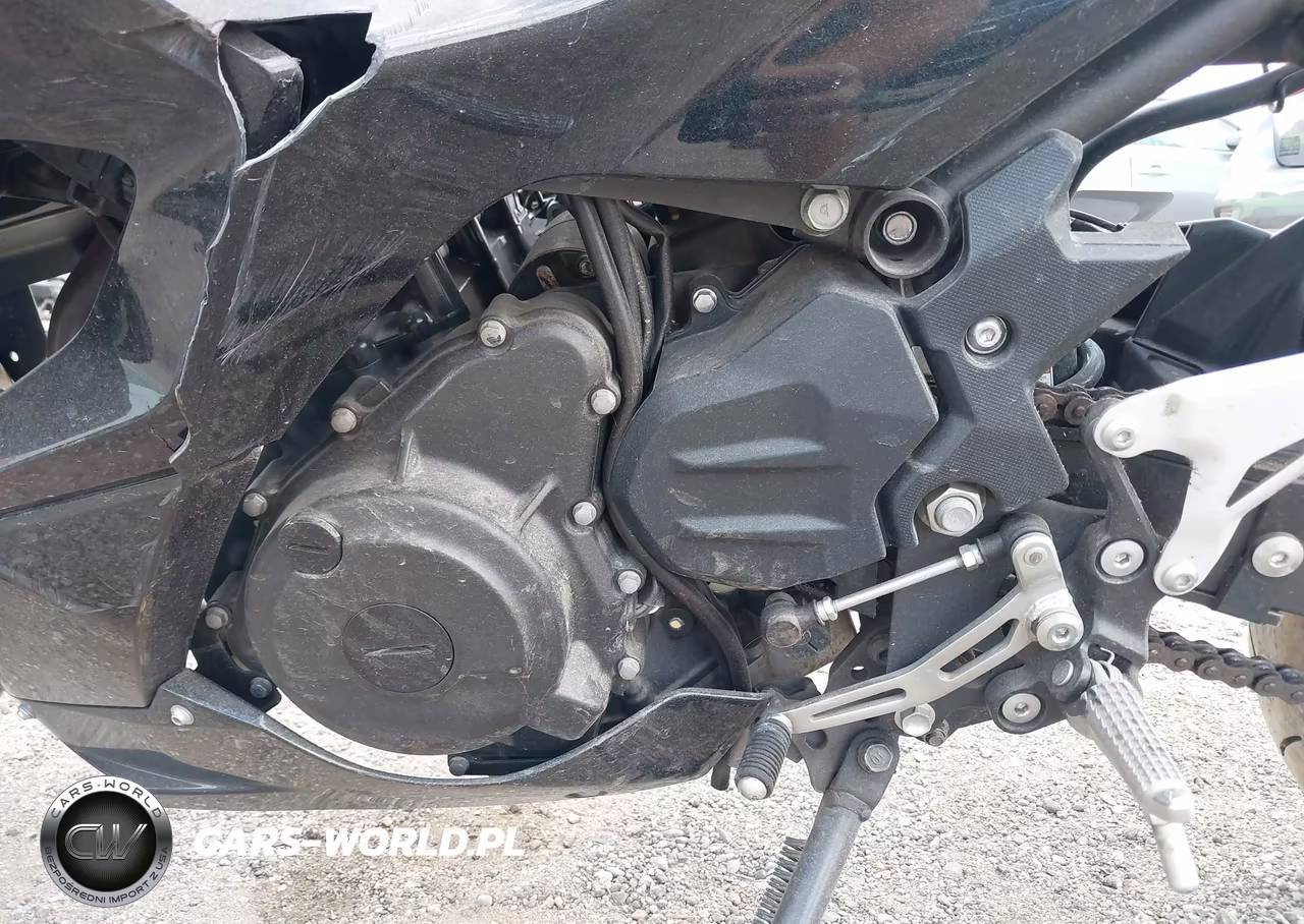 2024 Kawasaki Ex500 H VIN:ML5EXGH13RDA26294 - 9