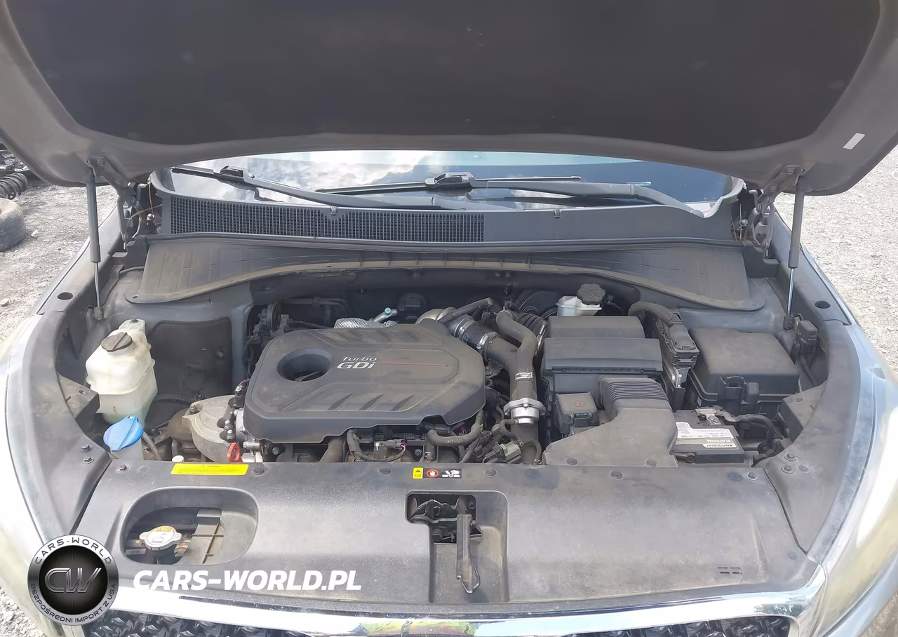 2016 Kia Sorento 2.0T Ex VIN:5XYPH4A13GG071980 - 10