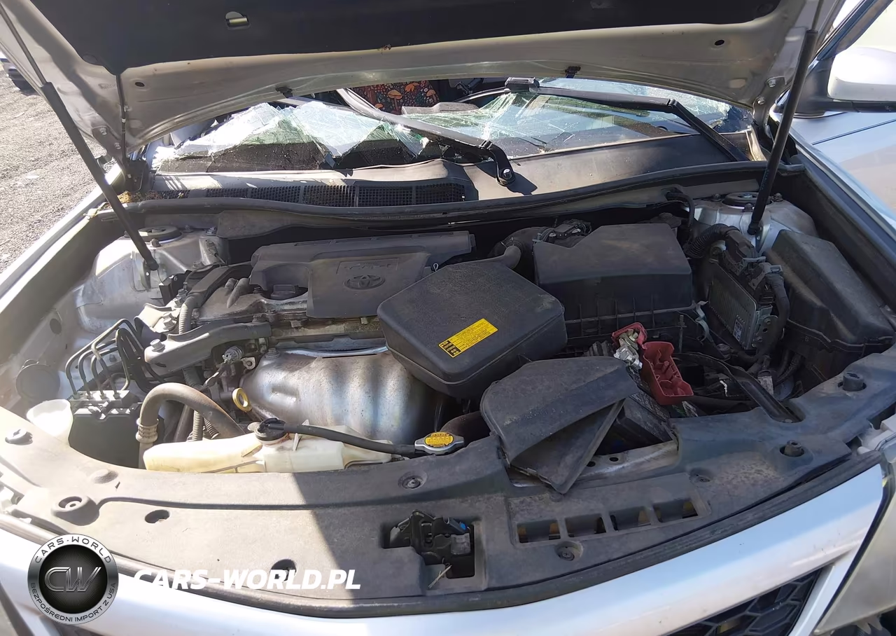 2014 Toyota Camry Se VIN:4T1BF1FK2EU832408 - 10
