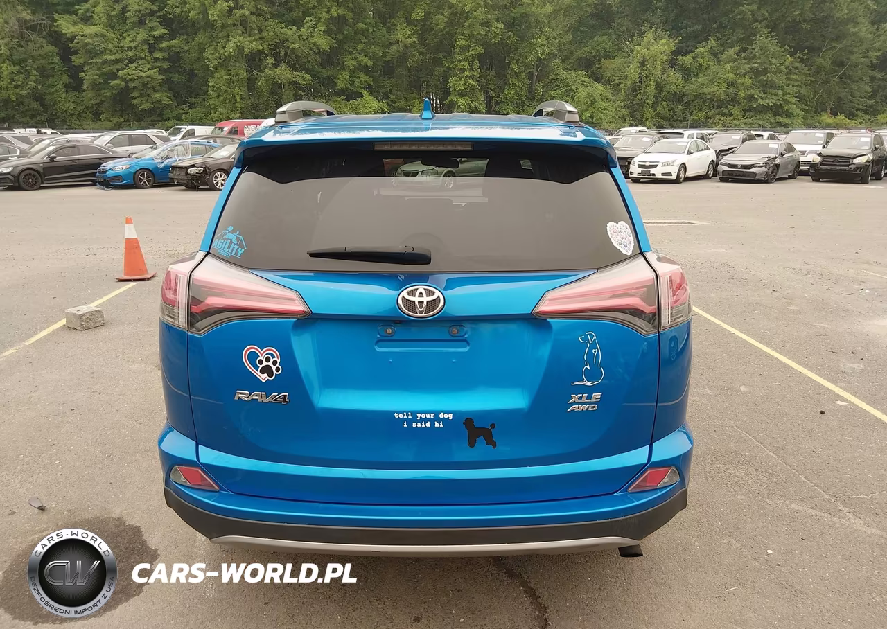 2017 Toyota Rav4 Xle VIN:2T3RFREV8HW552884 - 16
