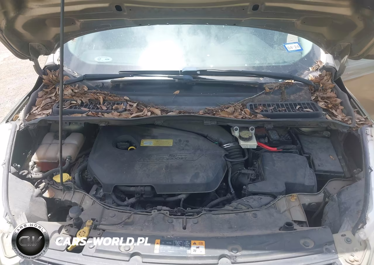 2013 Ford Escape Se VIN:1FMCU0GX3DUC32039 - 10
