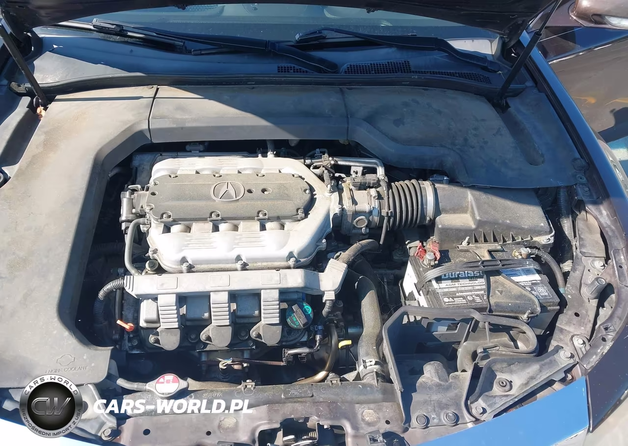 2009 Acura Tl 3.7 VIN:19UUA96529A000225 - 10