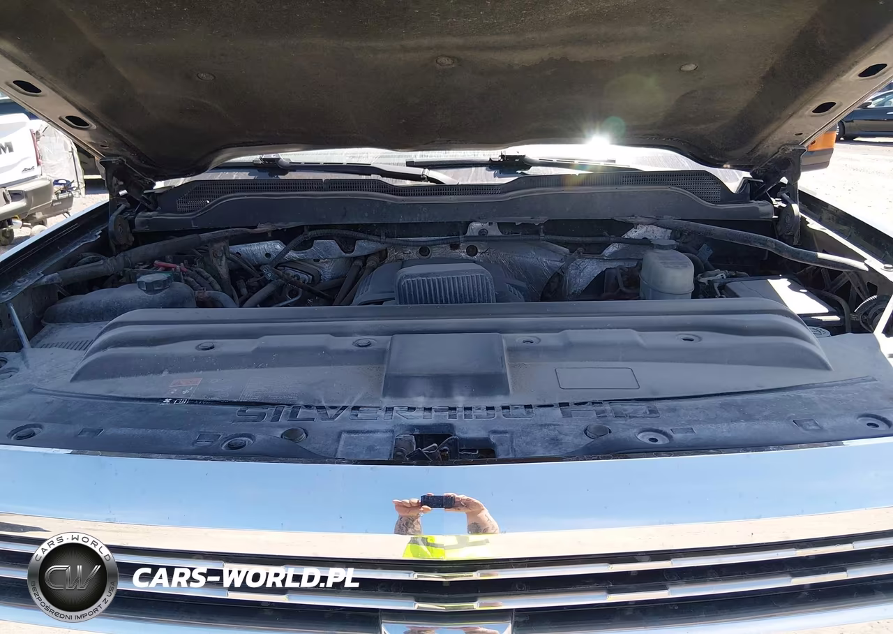 2017 Chevrolet Silverado 3500Hd Work Truck VIN:1GC3KYCGXHZ374685 - 10