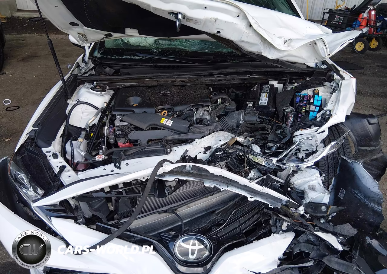 2020 Toyota Camry Le VIN:4T1C11AK2LU390771 - 10