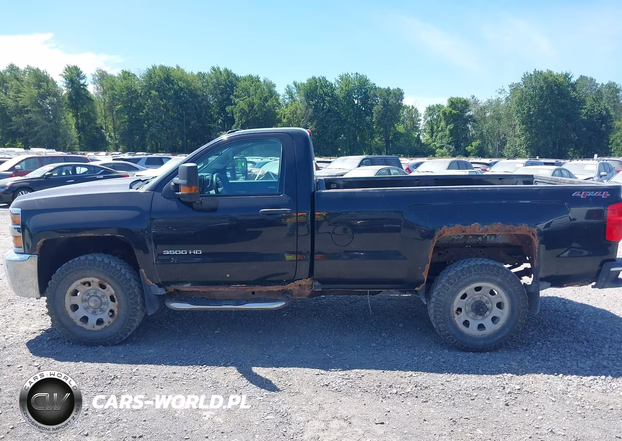2017 Chevrolet Silverado 3500Hd Work Truck VIN:1GC3KYCG5HZ378028 - 16