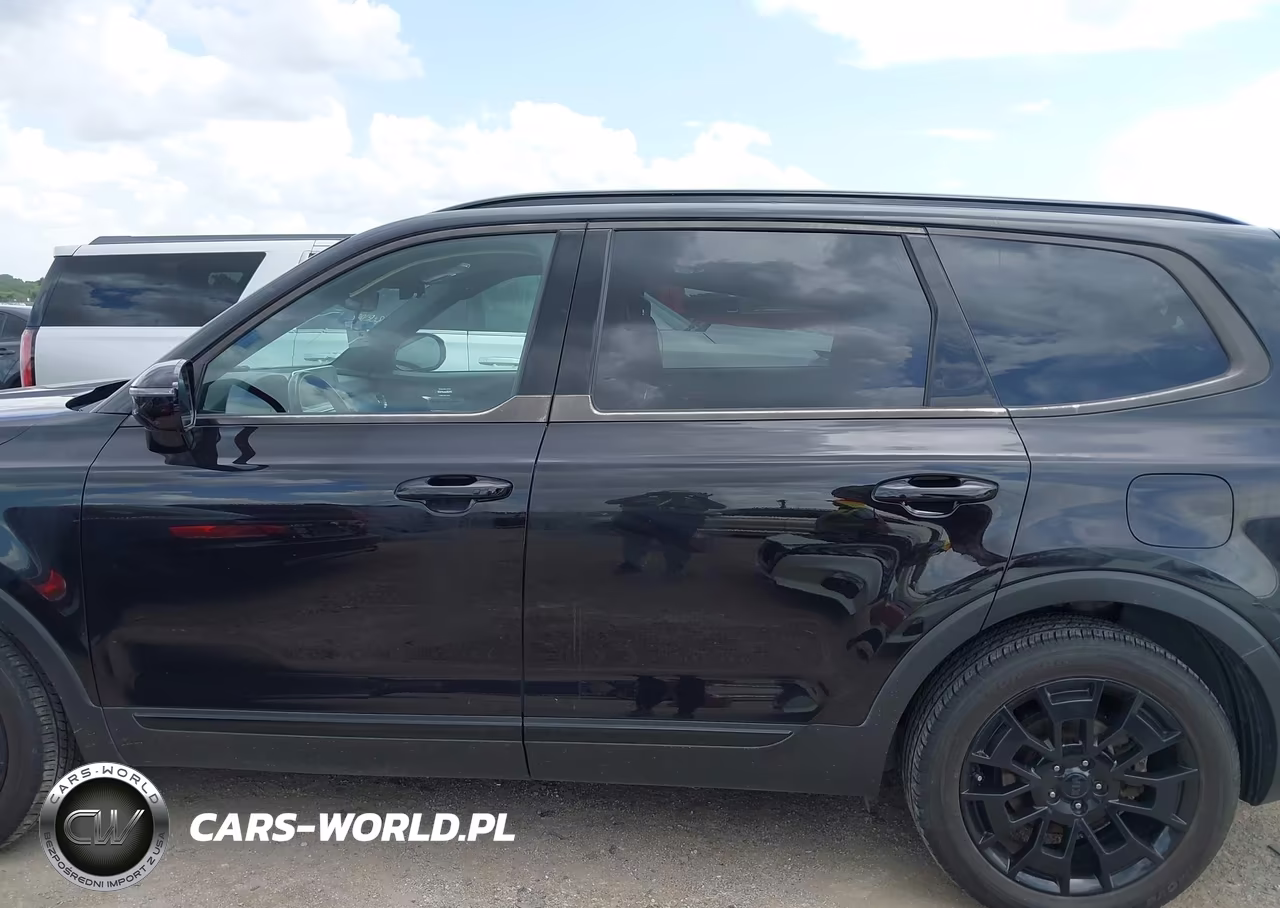 2021 Kia Telluride Sx VIN:5XYP5DHC5MG140471 - 14