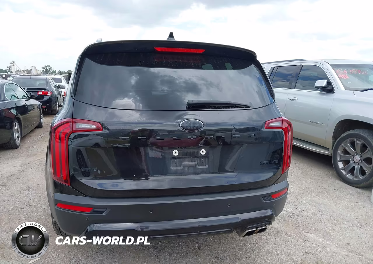 2021 Kia Telluride Sx VIN:5XYP5DHC5MG140471 - 16