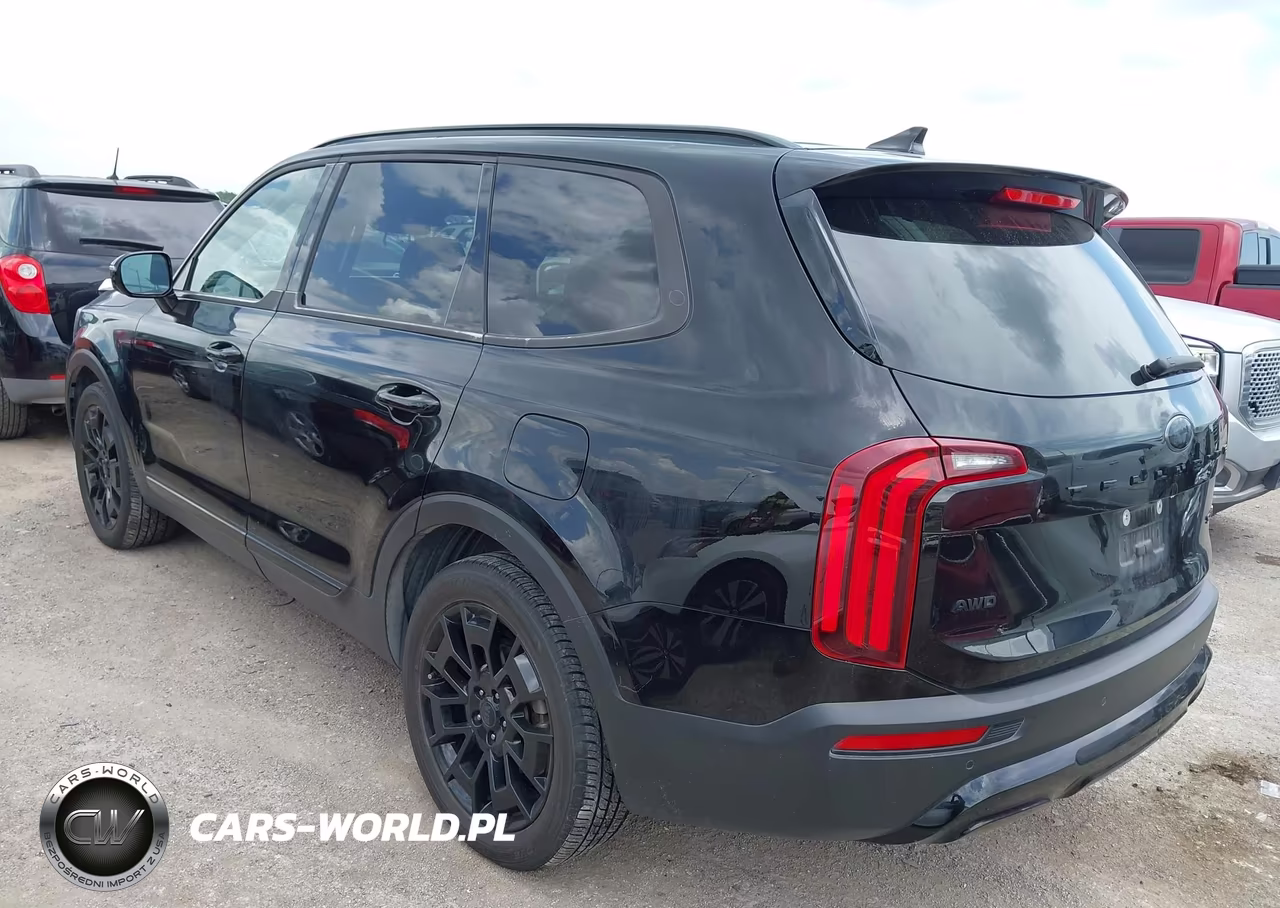 2021 Kia Telluride Sx VIN:5XYP5DHC5MG140471 - 3