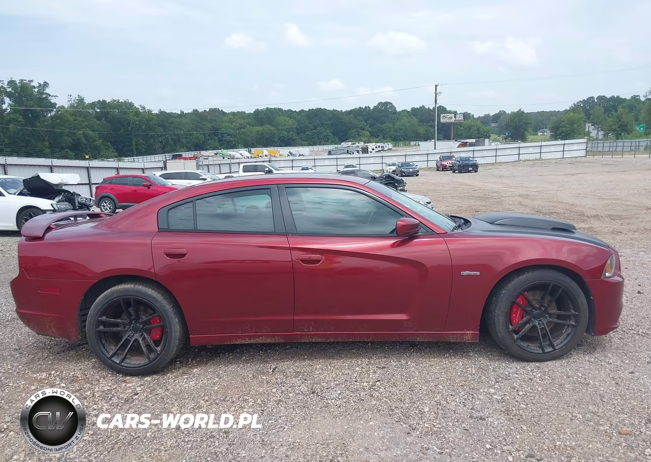 2014 Dodge Charger R-T 100Th Anniversary VIN:2C3CDXCT0EH227051 - 13