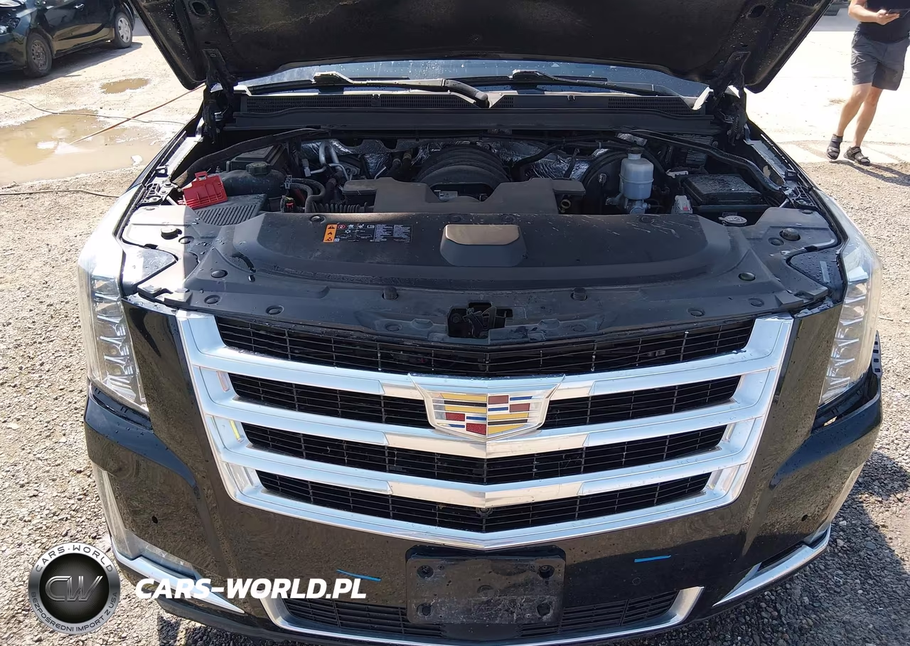 2017 Cadillac Escalade Esv Premium Luxury VIN:1GYS4JKJ1HR308787 - 10