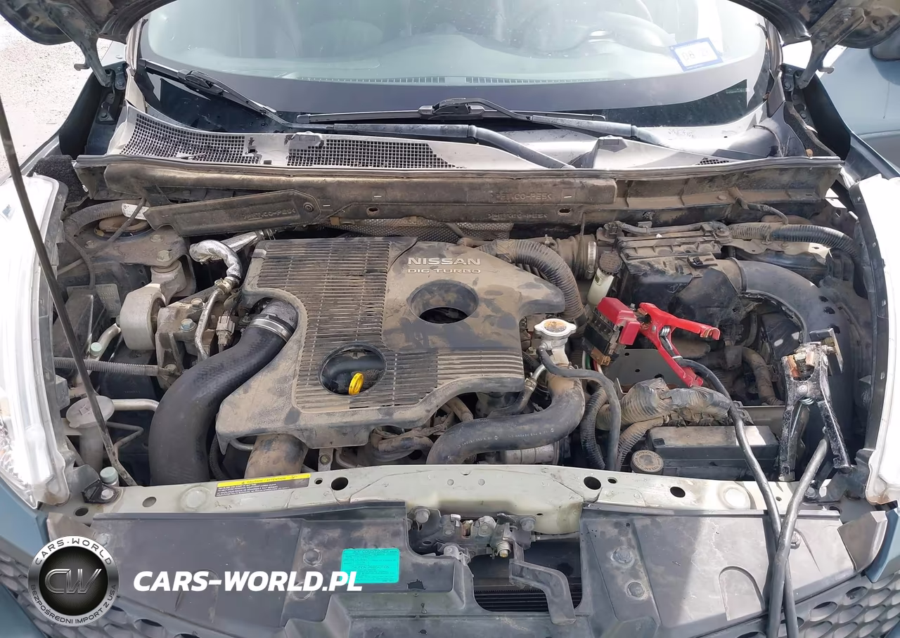 2013 Nissan Juke Sl VIN:JN8AF5MR9DT204832 - 10