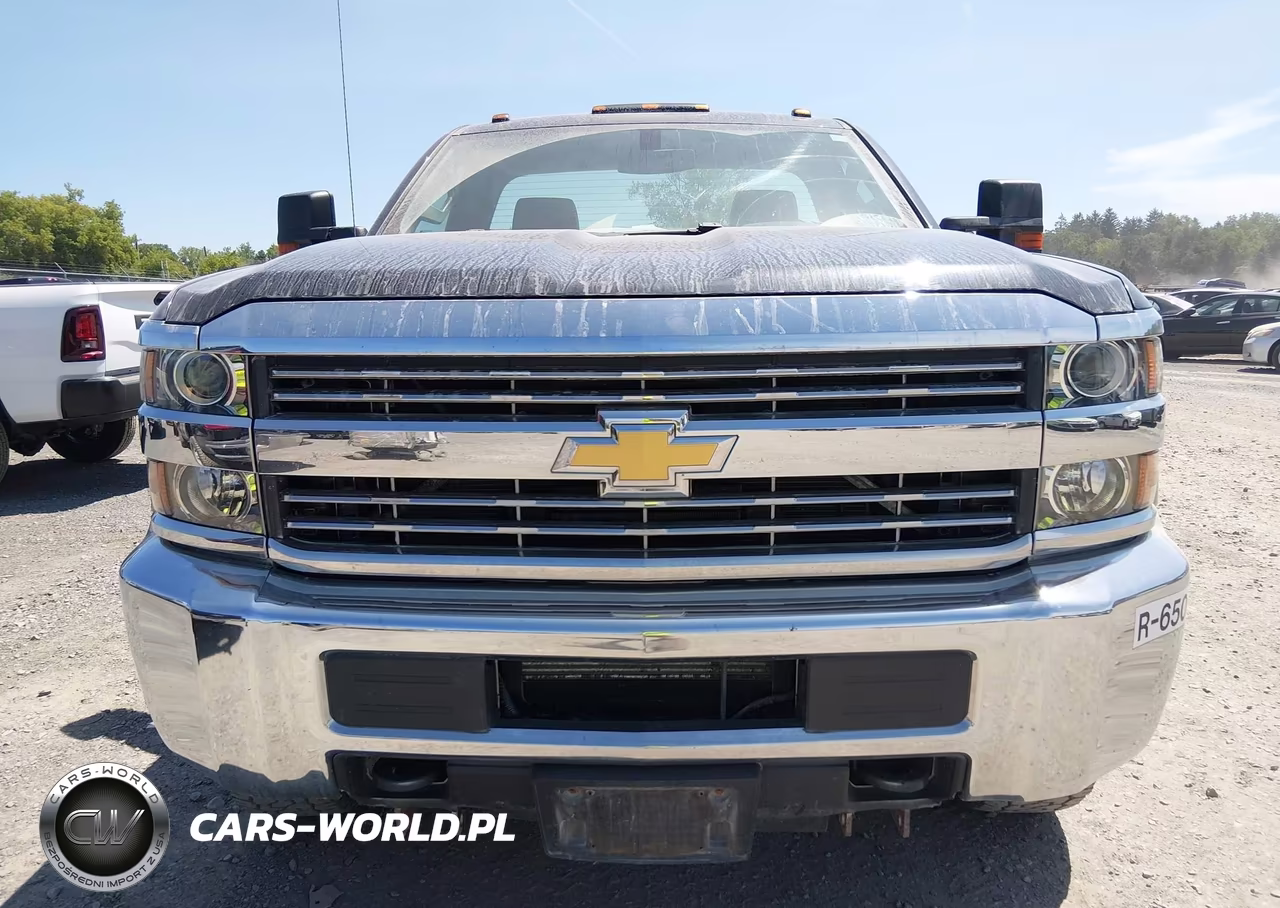 2017 Chevrolet Silverado 3500Hd Work Truck VIN:1GC3KYCG4HZ373354 - 13