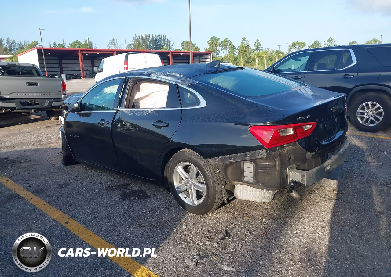 2024 Chevrolet Malibu Fwd 1Fl VIN:1G1ZC5ST3RF240973 - 3