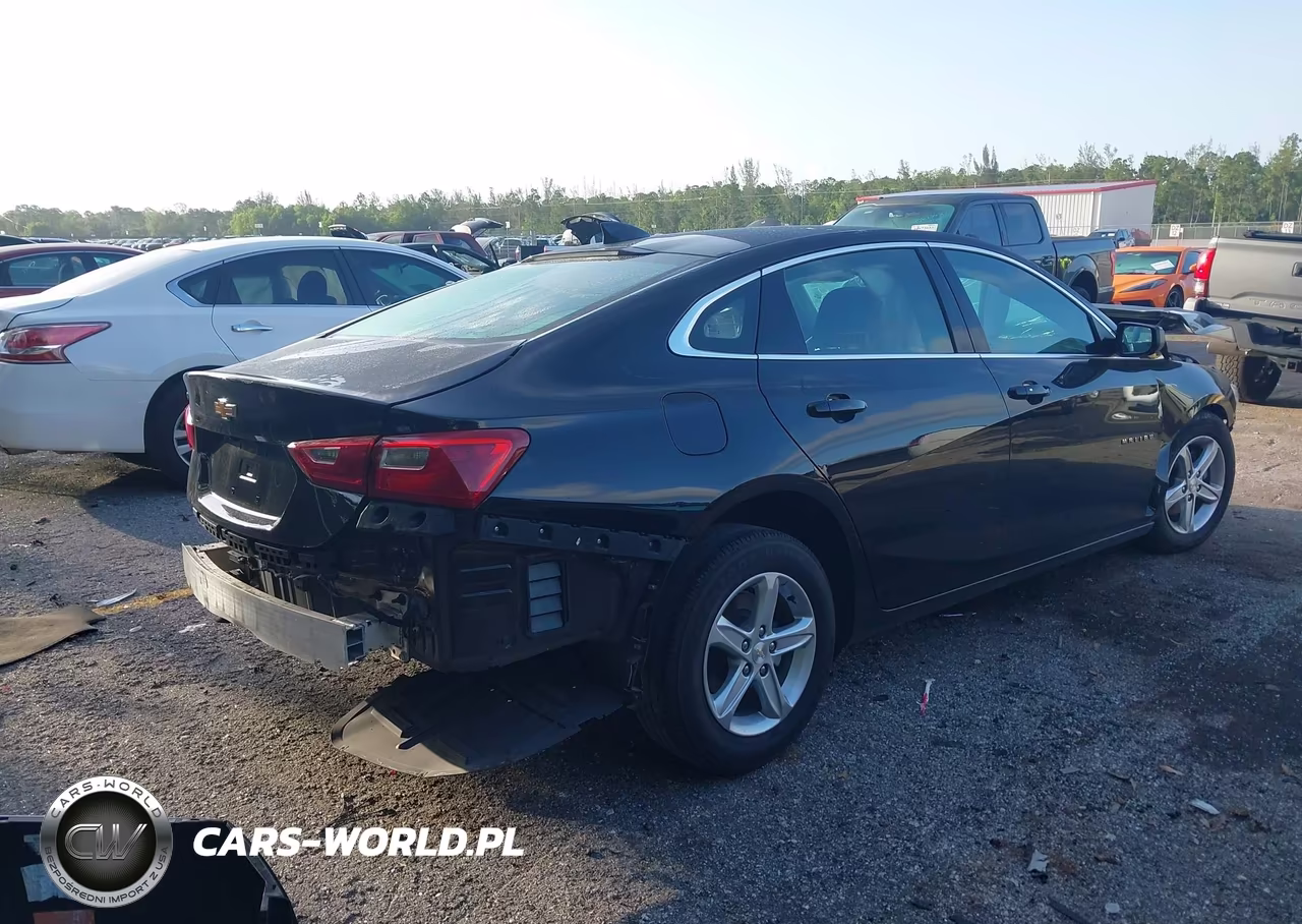 2024 Chevrolet Malibu Fwd 1Fl VIN:1G1ZC5ST3RF240973 - 4
