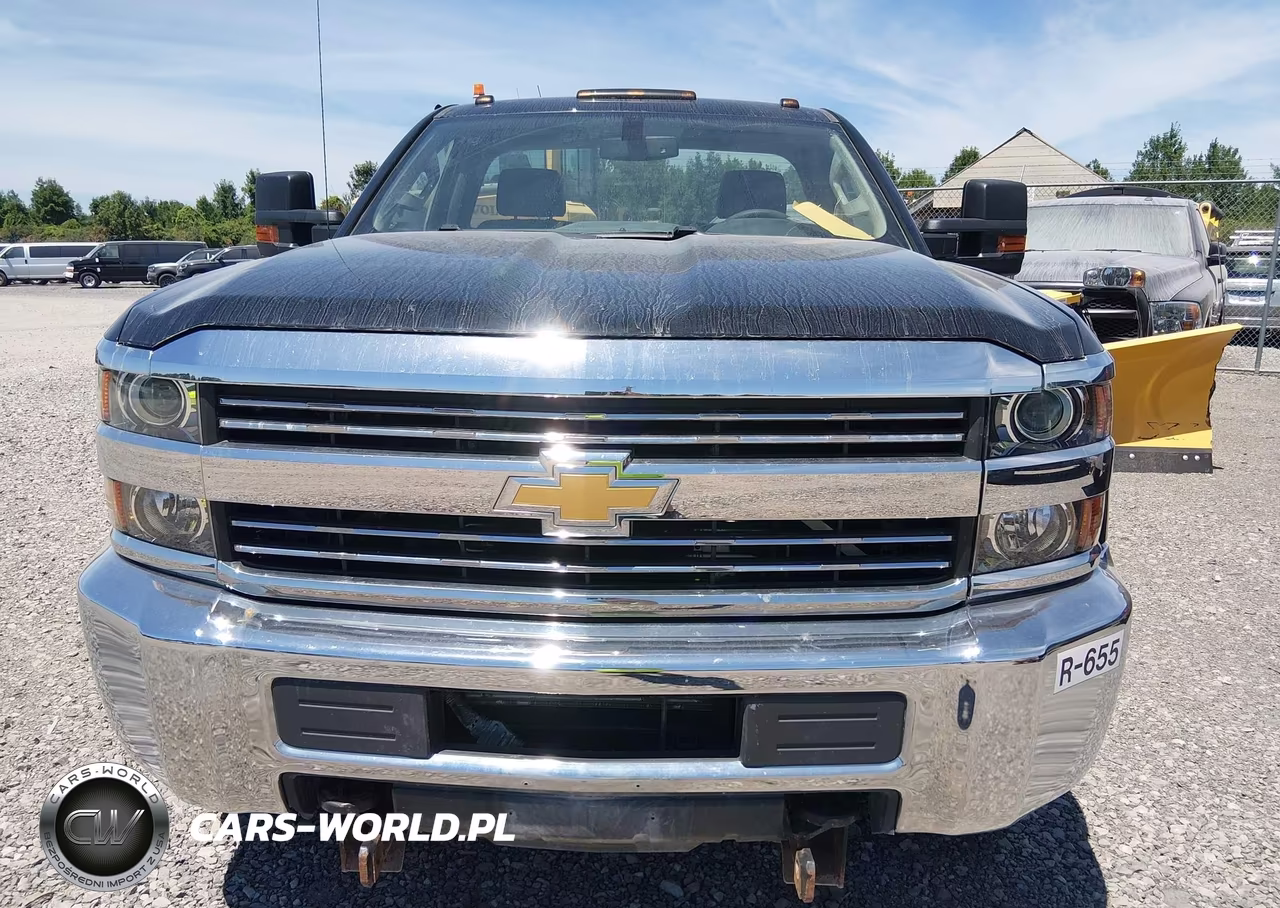 2017 Chevrolet Silverado 3500Hd Work Truck VIN:1GC3KYCG6HZ379026 - 12