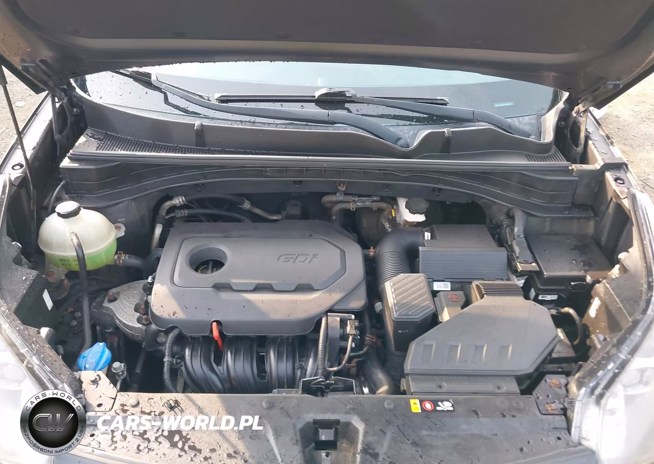 2017 Kia Sportage Lx VIN:KNDPMCAC4H7038119 - 10