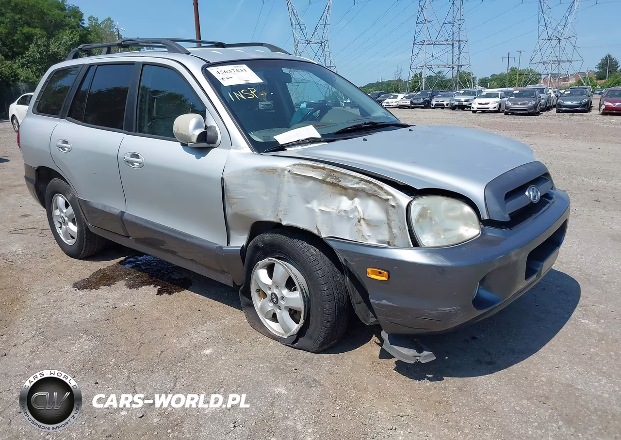 2006 Hyundai Santa Fe Gls VIN:KM8SC73D86U108192 - 6
