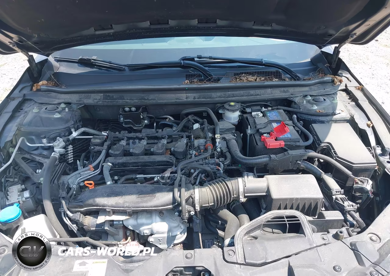 2024 Honda Accord Ex VIN:1HGCY1F36RA052013 - 10