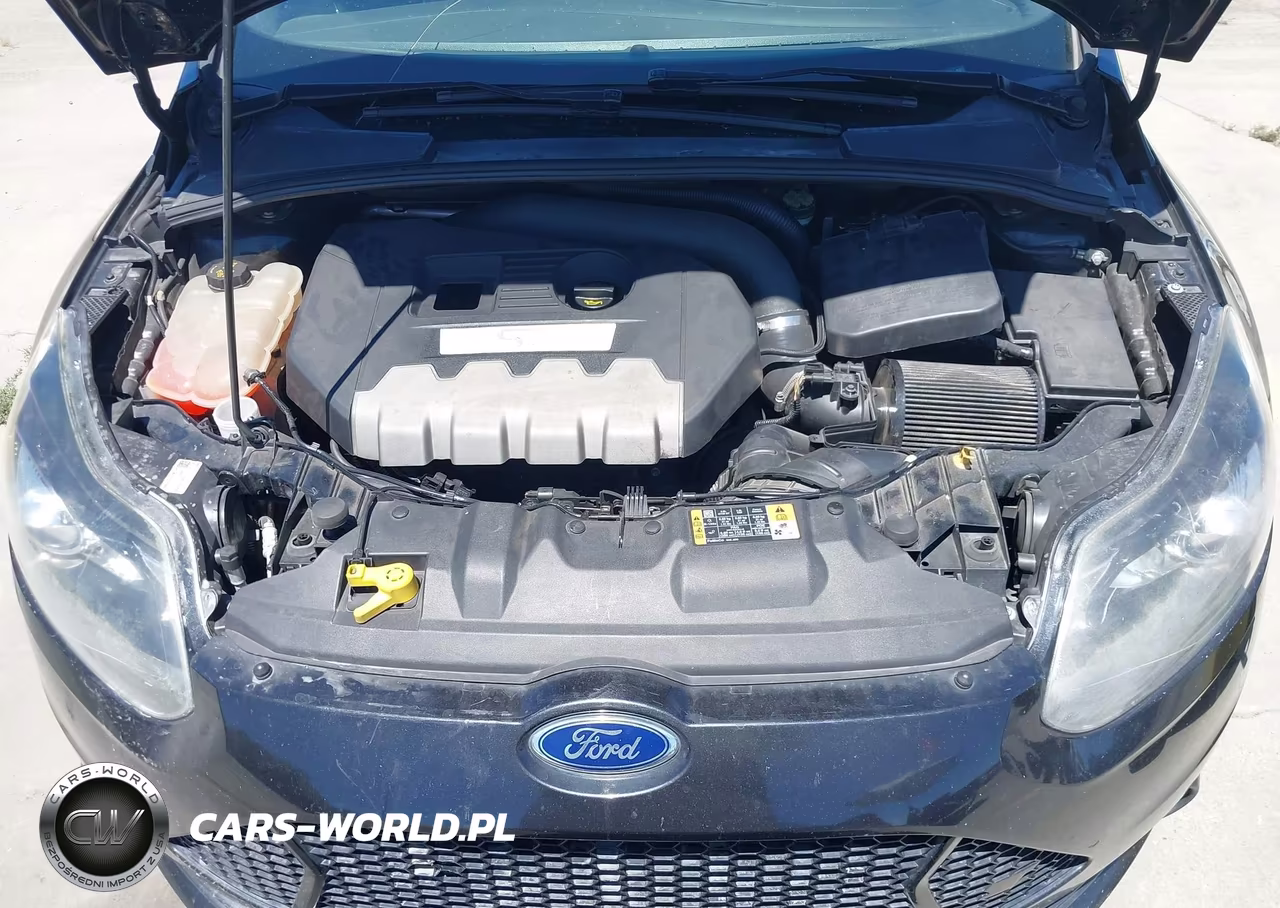 2014 Ford Focus St VIN:1FADP3L94EL402625 - 10