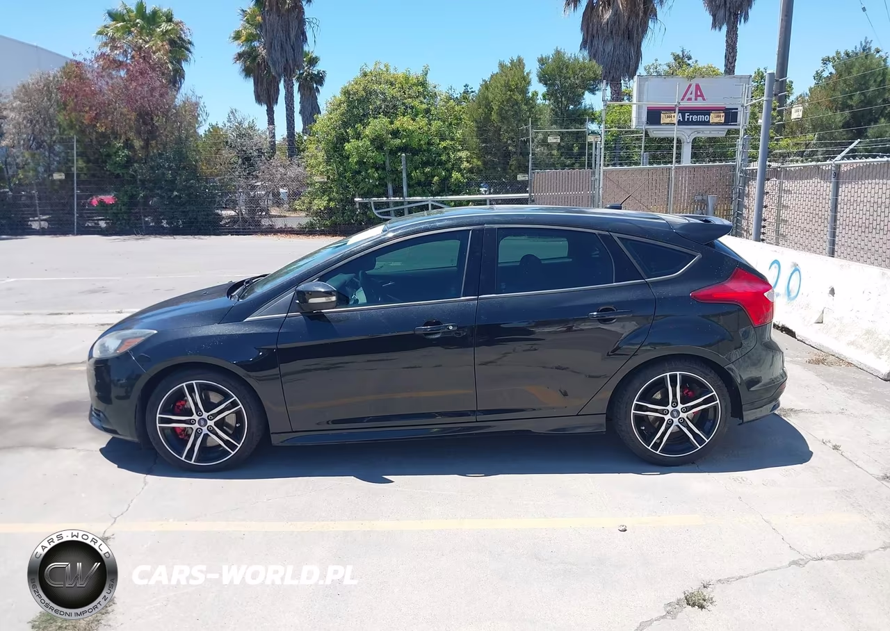 2014 Ford Focus St VIN:1FADP3L94EL402625 - 14