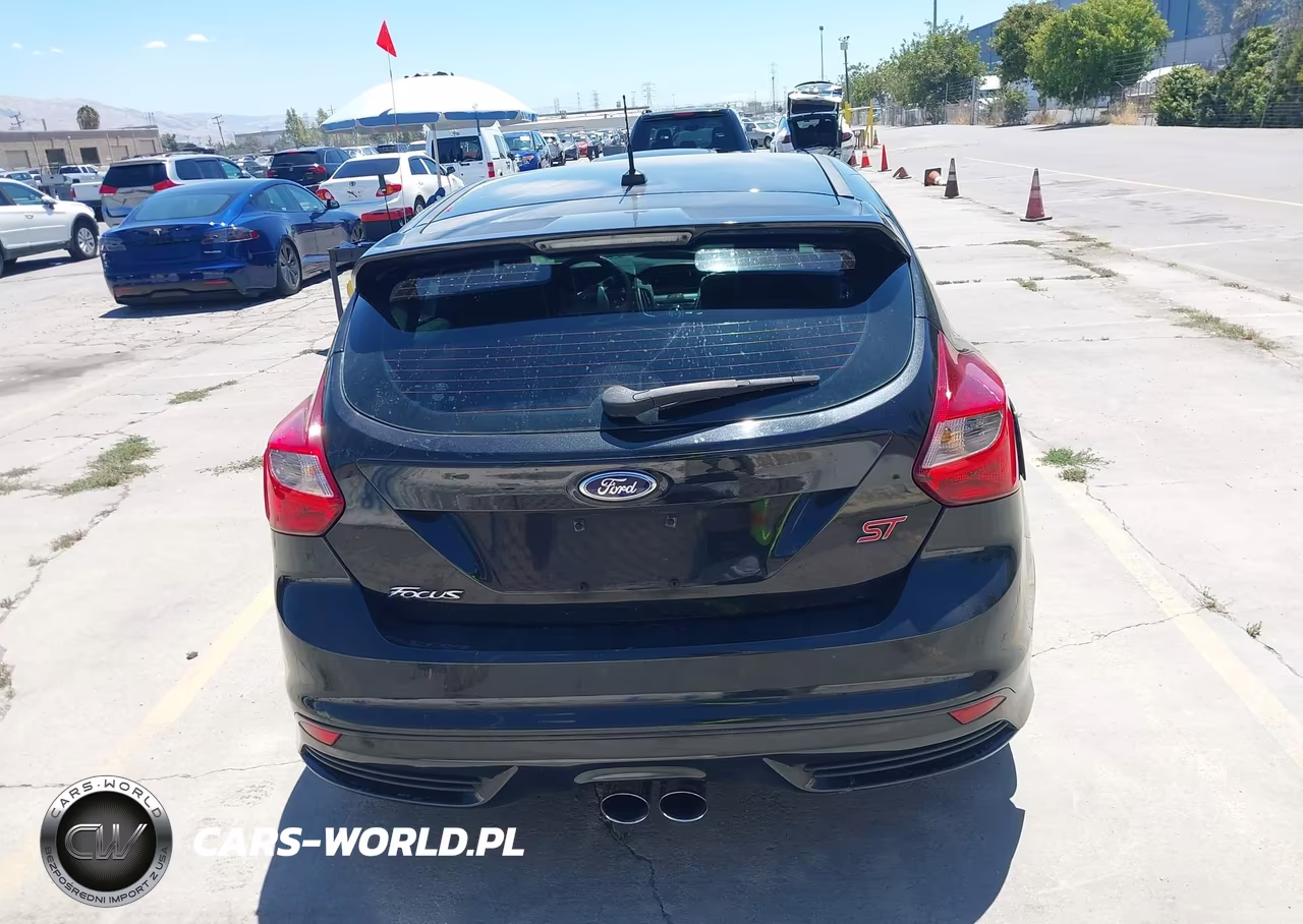 2014 Ford Focus St VIN:1FADP3L94EL402625 - 16