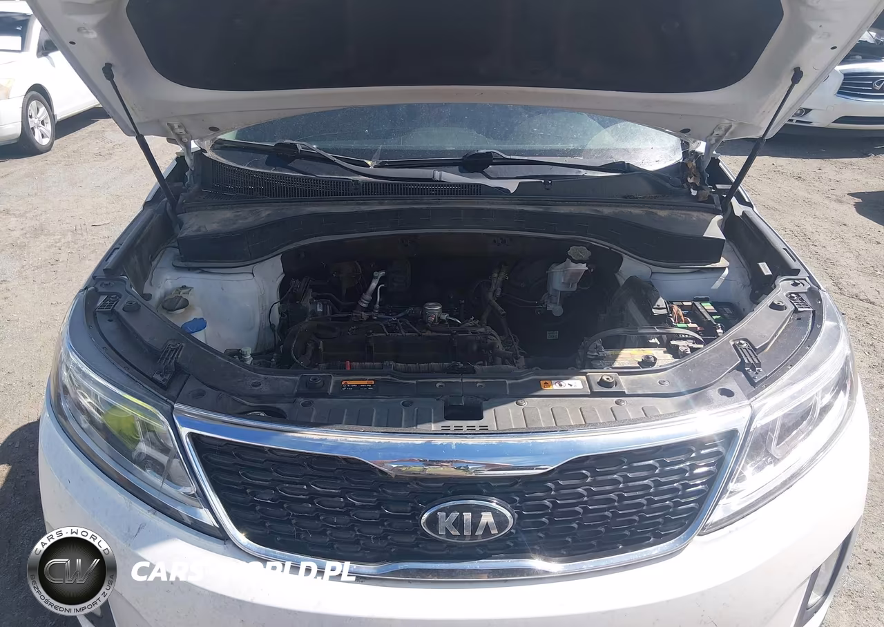 2015 Kia Sorento Lx VIN:5XYKTCA66FG566977 - 10