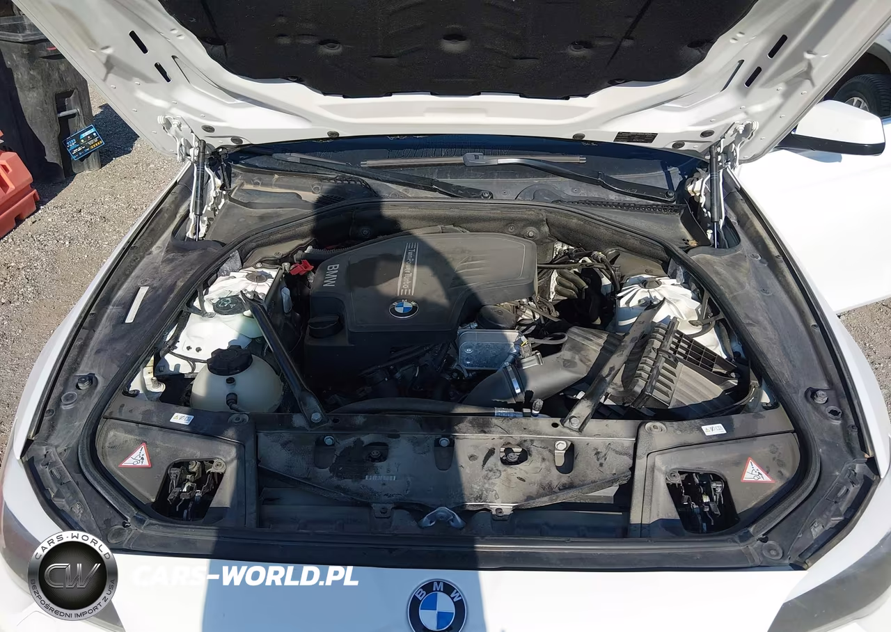 2013 BMW 528I xDrive VIN:WBAXH5C55DD107259 - 10