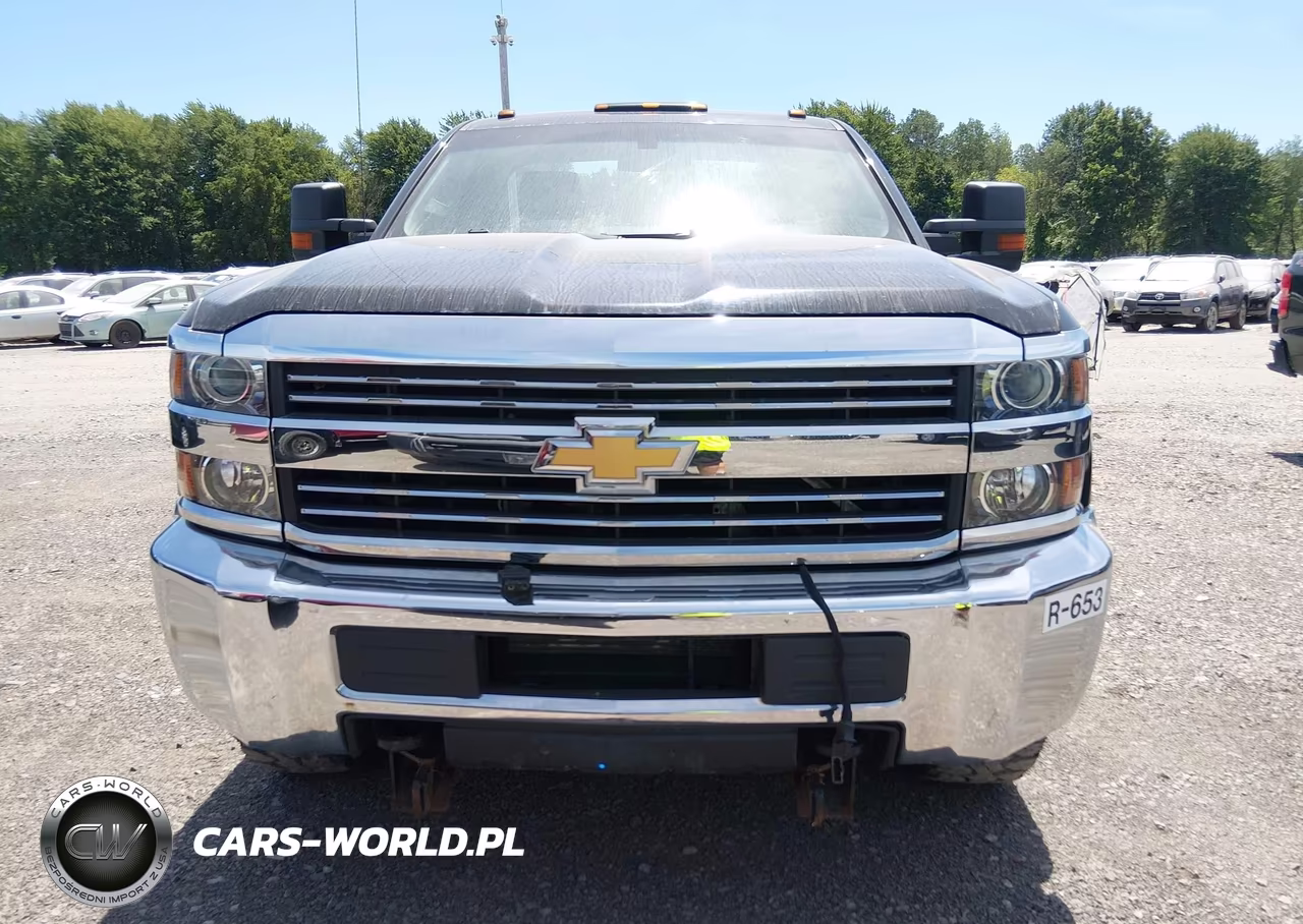2017 Chevrolet Silverado 3500Hd Work Truck VIN:1GC3KYCG2HZ378696 - 14