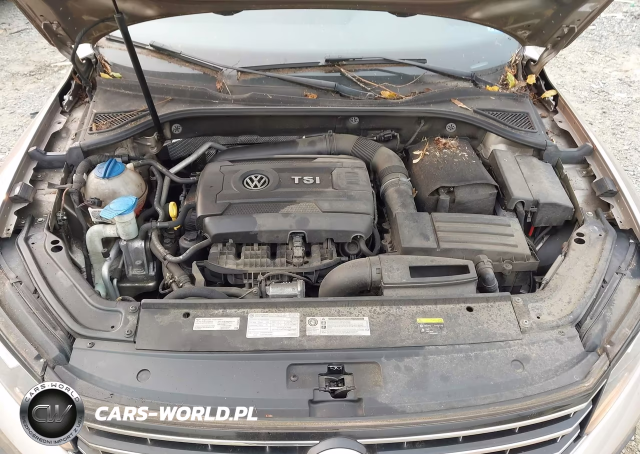 2016 Volkswagen Passat 1.8T Se VIN:1VWBT7A37GC007924 - 10