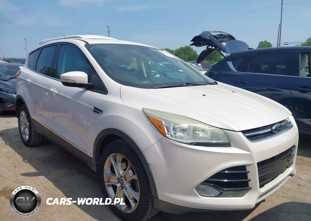 2013 Ford Escape Sel VIN:1FMCU0HX2DUD00085 - 1