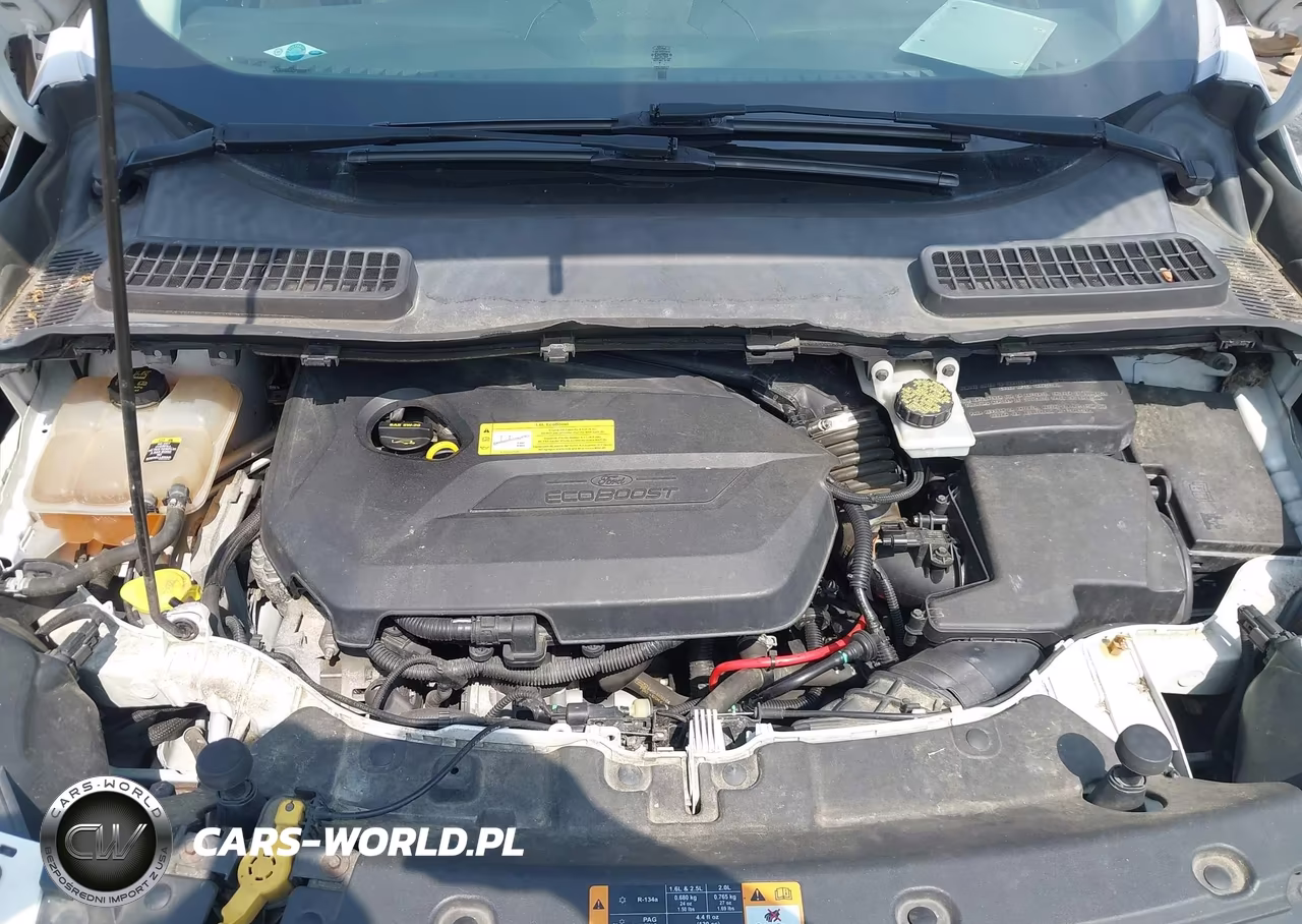 2013 Ford Escape Sel VIN:1FMCU0HX2DUD00085 - 10
