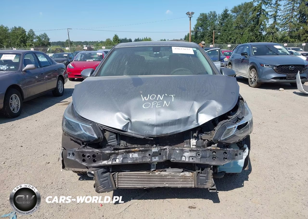2019 Chevrolet Cruze Lt VIN:1G1BE5SM6K7138720 - 13