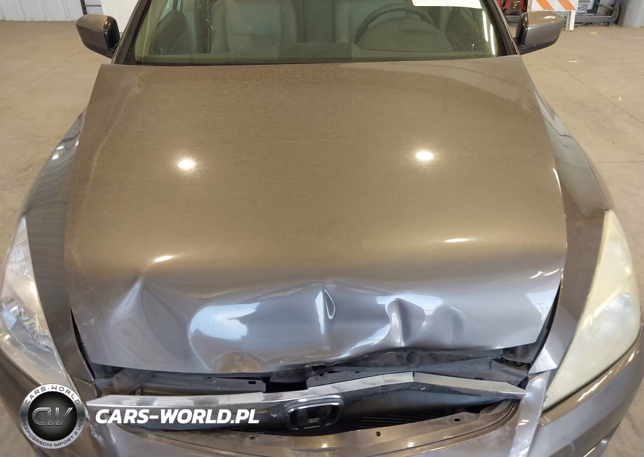 2007 Honda Accord 3.0 Ex VIN:1HGCM668X7A033966 - 10