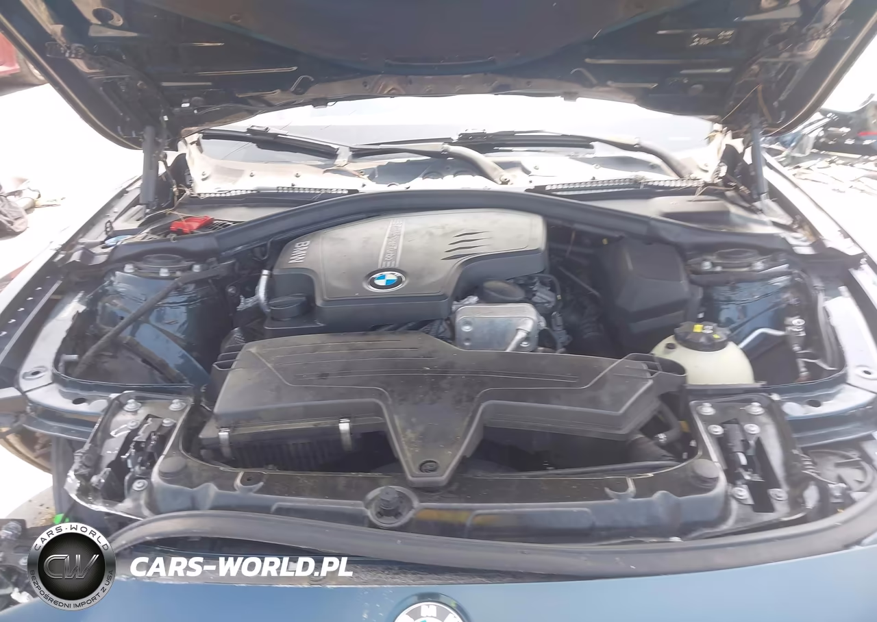 2016 BMW 428I Gran Coupe VIN:WBA4A9C5XGG508789 - 10