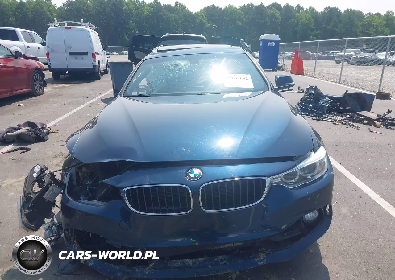 2016 BMW 428I Gran Coupe VIN:WBA4A9C5XGG508789 - 12