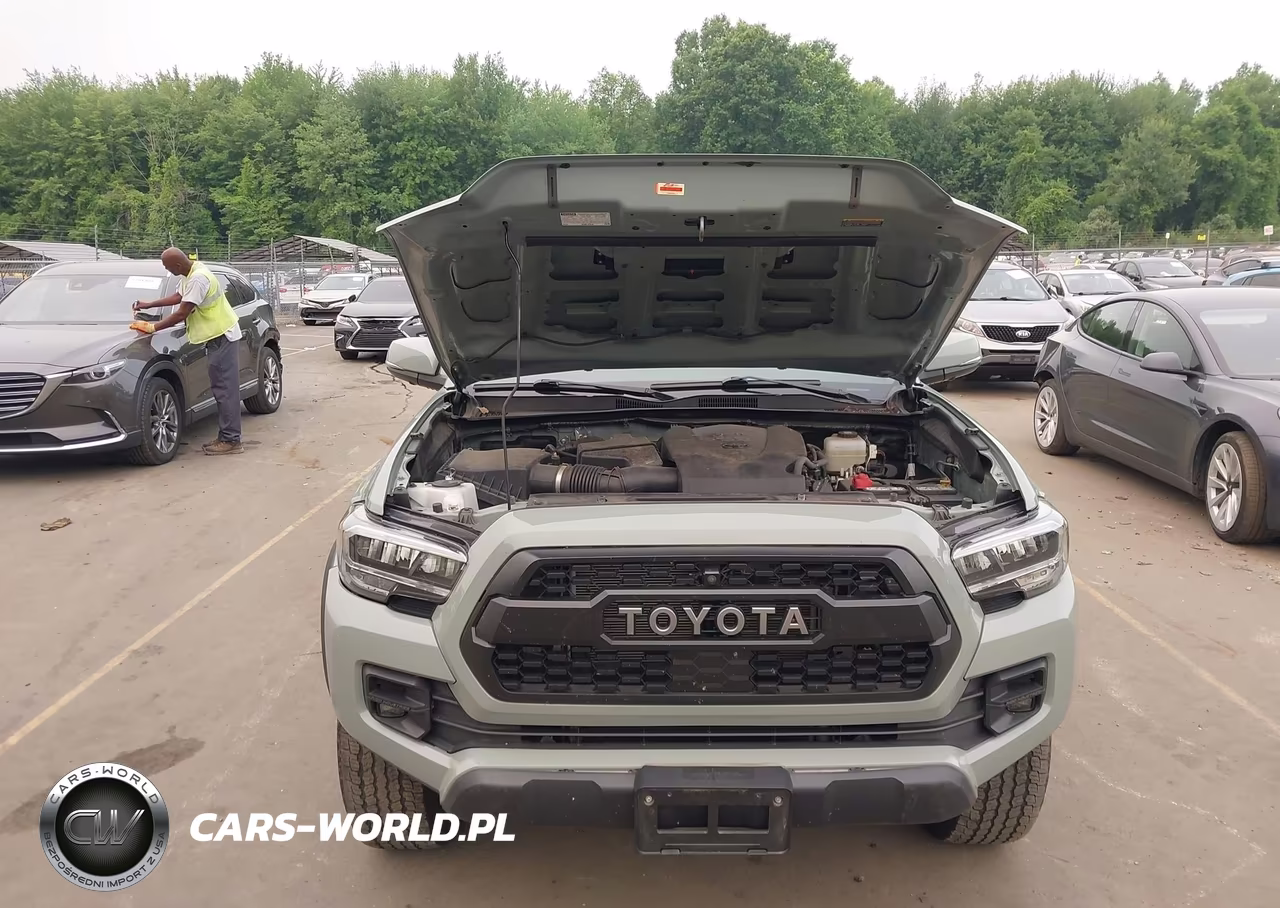 2021 Toyota Tacoma Trd Pro VIN:3TYCZ5AN3MT048495 - 10