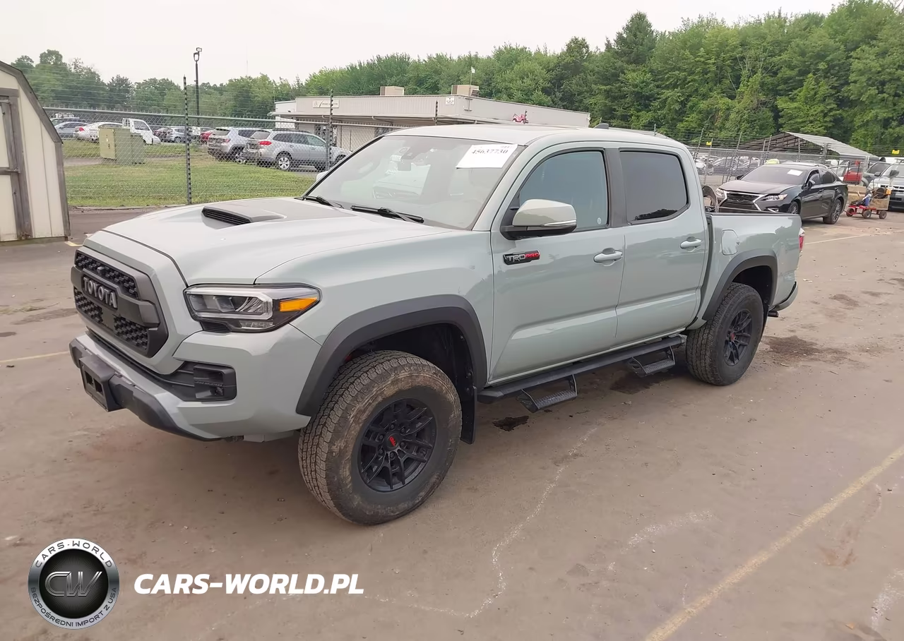 2021 Toyota Tacoma Trd Pro VIN:3TYCZ5AN3MT048495 - 2