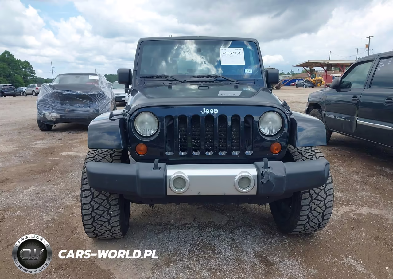 2009 Jeep Wrangler Unlimited Sahara VIN:1J4GA59199L703817 - 12