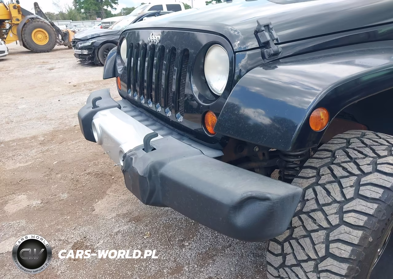 2009 Jeep Wrangler Unlimited Sahara VIN:1J4GA59199L703817 - 17
