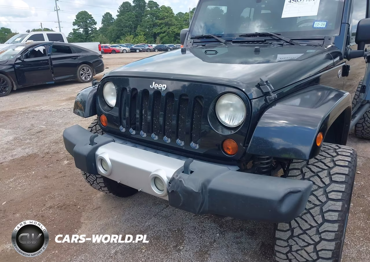 2009 Jeep Wrangler Unlimited Sahara VIN:1J4GA59199L703817 - 6