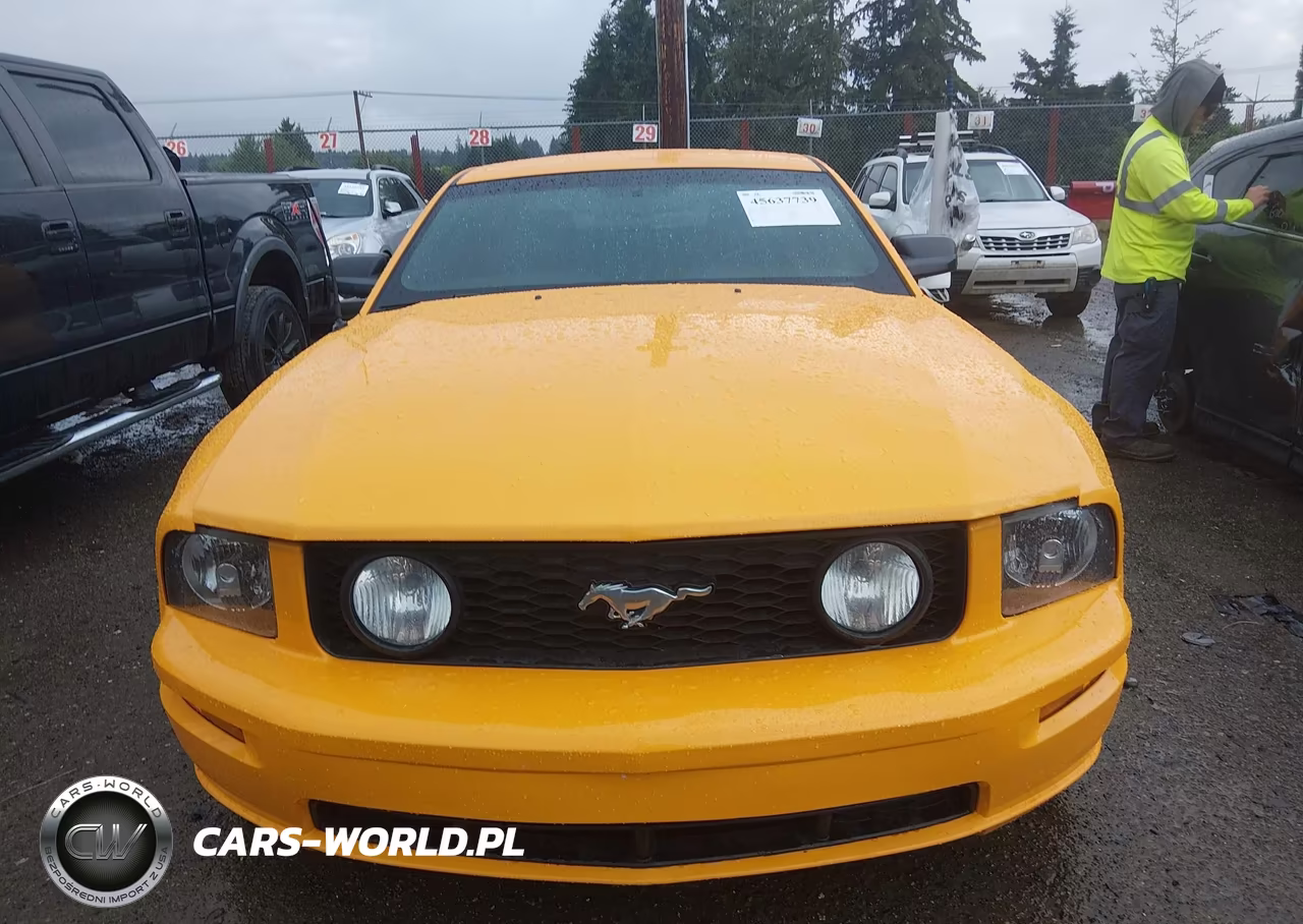 2008 Ford Mustang Gt Deluxe-Gt Premium VIN:1ZVHT82H885204178 - 12