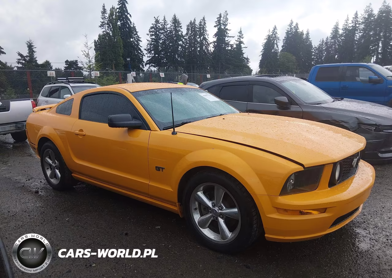 2008 Ford Mustang Gt Deluxe-Gt Premium VIN:1ZVHT82H885204178 - 13