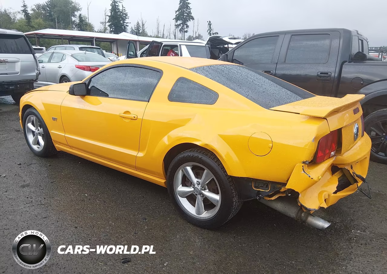 2008 Ford Mustang Gt Deluxe-Gt Premium VIN:1ZVHT82H885204178 - 14