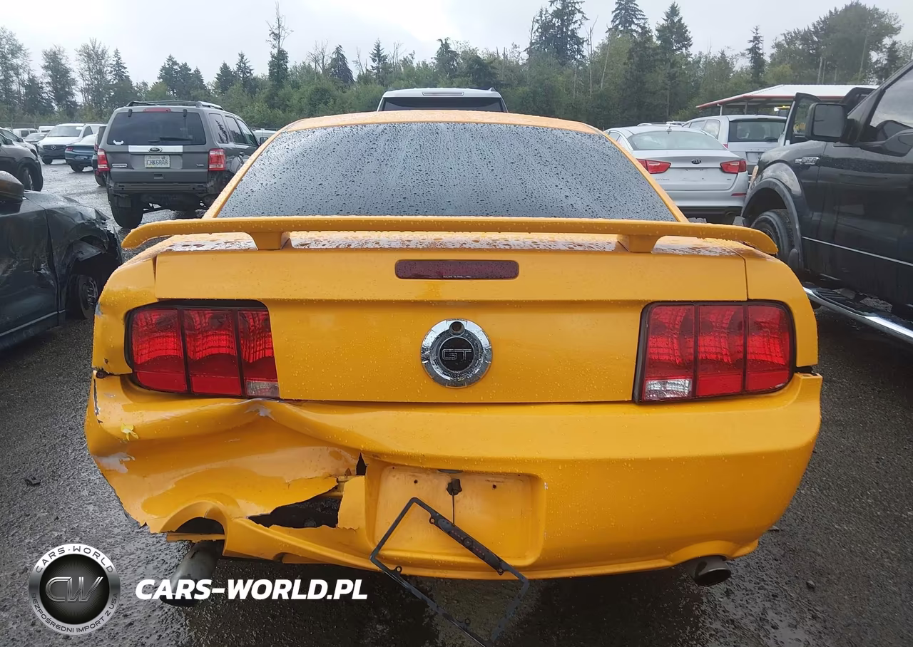 2008 Ford Mustang Gt Deluxe-Gt Premium VIN:1ZVHT82H885204178 - 16