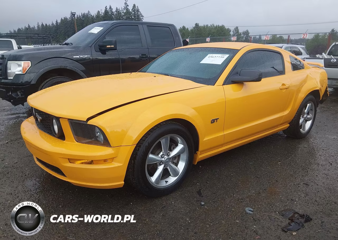 2008 Ford Mustang Gt Deluxe-Gt Premium VIN:1ZVHT82H885204178 - 2