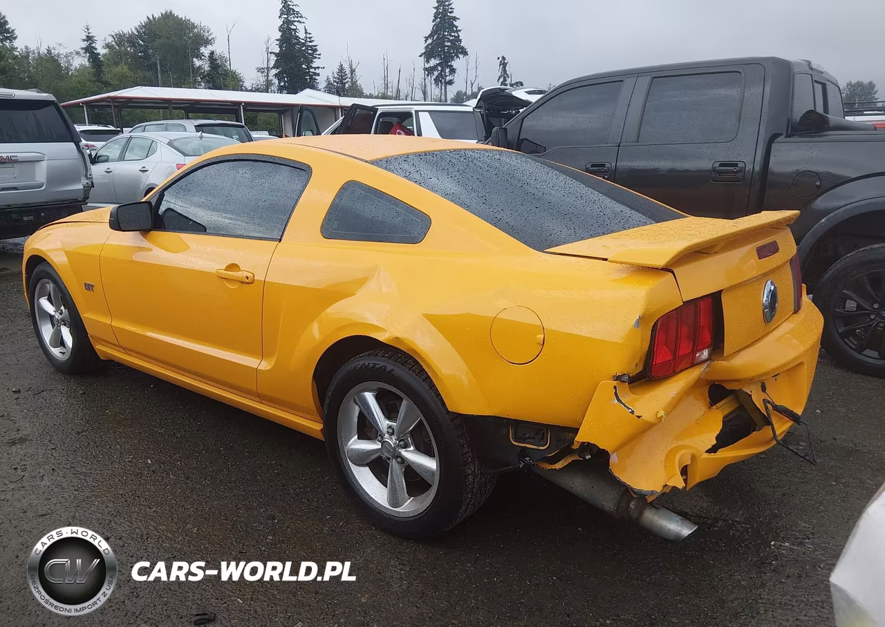 2008 Ford Mustang Gt Deluxe-Gt Premium VIN:1ZVHT82H885204178 - 3